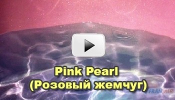 Видео цвета Розовый жемчуг